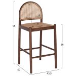 ΣΚΑΜΠΟ ΑΠΟ ΟΞΙΑ-RATTAN ΑΨΙΔΑ ΠΛΑΤΗ ΚΑΡΥΔΙ 47x46x100Yεκ.FB99408.04 - Image 2