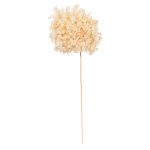 ΔΙΑΚΟΣΜΗΤΙΚΟ ΑΠΟΞΗΡΑΜΕΝΟ ΛΟΥΛΟΥΔΙ ΟΡΤΑΝΣΙΑ FB97954 ΕΚΡΟΥ 55Υεκ.