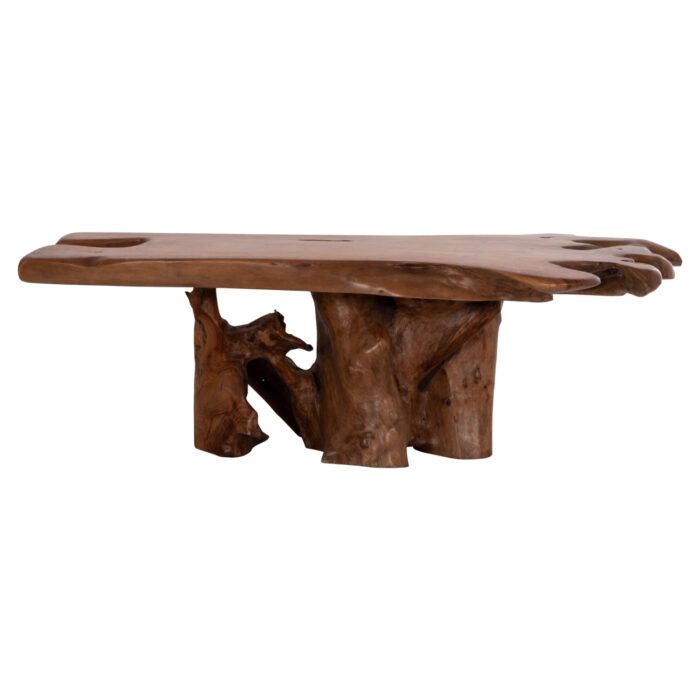 ΤΡΑΠΕΖΙ ΣΑΛΟΝΙΟΥ FB918303 ΞΥΛΟ TEAK--ΣΚΟΥΡΟ ΚΑΦΕ 156x94x49Υεκ. - Image 3