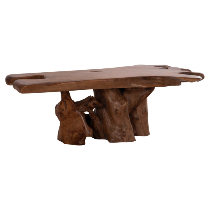 ΤΡΑΠΕΖΙ ΣΑΛΟΝΙΟΥ FB918303 ΞΥΛΟ TEAK--ΣΚΟΥΡΟ ΚΑΦΕ 156x94x49Υεκ. - Image 7