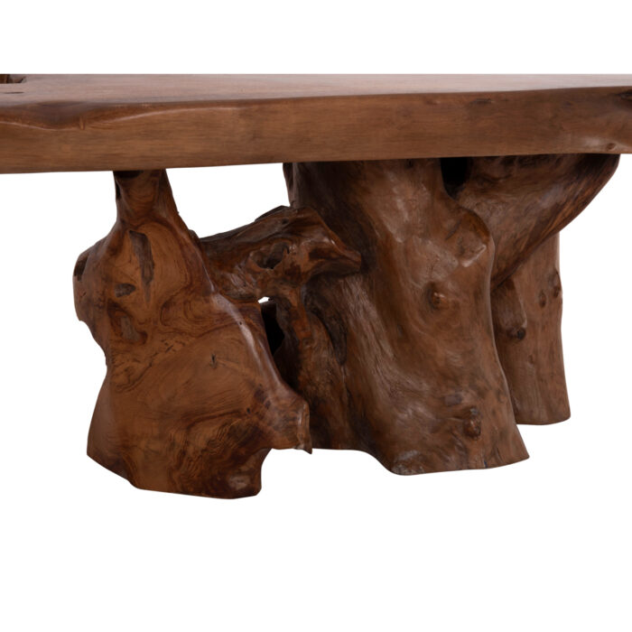 ΤΡΑΠΕΖΙ ΣΑΛΟΝΙΟΥ FB918303 ΞΥΛΟ TEAK--ΣΚΟΥΡΟ ΚΑΦΕ 156x94x49Υεκ. - Image 10