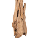 ΚΑΛΟΓΕΡΟΣ FB99367 ΑΠΟ ΜΑΣΙΦ ΞΥΛΟ TEAK ΦΥΣΙΚΟ 36x30x183Υεκ. - Image 5