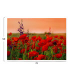ΠΙΝΑΚΑΣ TOIXOY FB94760 ΕΚΤΥΠΩΜΕΝΟΣ ΚΑΜΒΑΣ 70x3(πάχος)x50Υεκ. - Image 2