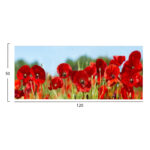 ΠΙΝΑΚΑΣ TOIXOY FB94786 ΕΚΤΥΠΩΜΕΝΟΣ ΚΑΜΒΑΣ 120x3(πάχος)x50Υεκ. - Image 2