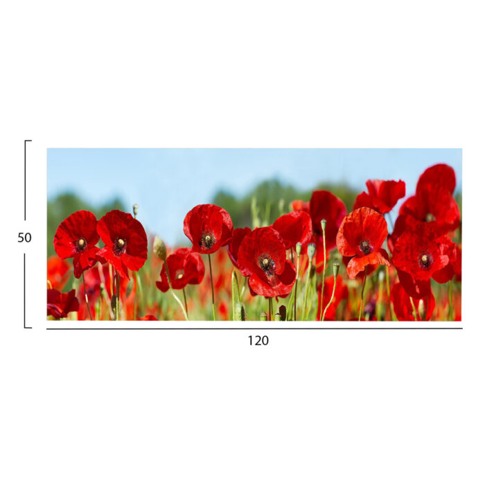 ΠΙΝΑΚΑΣ TOIXOY FB94786 ΕΚΤΥΠΩΜΕΝΟΣ ΚΑΜΒΑΣ 120x3(πάχος)x50Υεκ. - Image 2