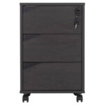 ΕΠΑΓΓΕΛΜΑΤΙΚΗ ΣΥΡΤΑΡΙΕΡΑ ΓΡΑΦΕΙΟΥ ΜΕ ΡΟΔΑΚΙΑ FB92108 42X42X60Y εκ. - Image 3