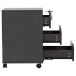 ΕΠΑΓΓΕΛΜΑΤΙΚΗ ΣΥΡΤΑΡΙΕΡΑ ΓΡΑΦΕΙΟΥ ΜΕ ΡΟΔΑΚΙΑ FB92108 42X42X60Y εκ. - Image 5