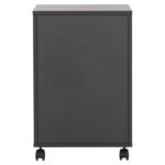 ΕΠΑΓΓΕΛΜΑΤΙΚΗ ΣΥΡΤΑΡΙΕΡΑ ΓΡΑΦΕΙΟΥ ΜΕ ΡΟΔΑΚΙΑ FB92108 42X42X60Y εκ. - Image 7